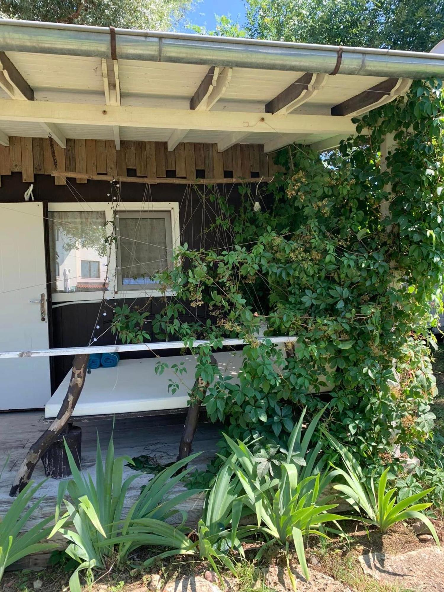 לוזנטס Bungalow "Pod Varbata" מראה חיצוני תמונה